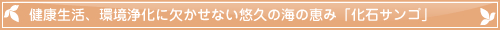 健康生活、環境浄化に欠かせない悠久の海の恵み「化石サンゴ」